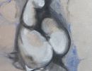 pearl diver ama 80 x cm web